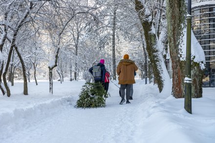 Śląski Jarmark Bożonarodzeniowy